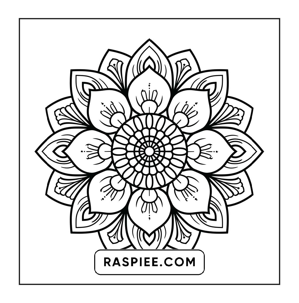 250 Mandala Adult Coloring Pages Vol.1