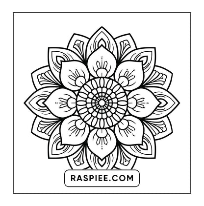 250 Mandala Adult Coloring Pages Vol.1