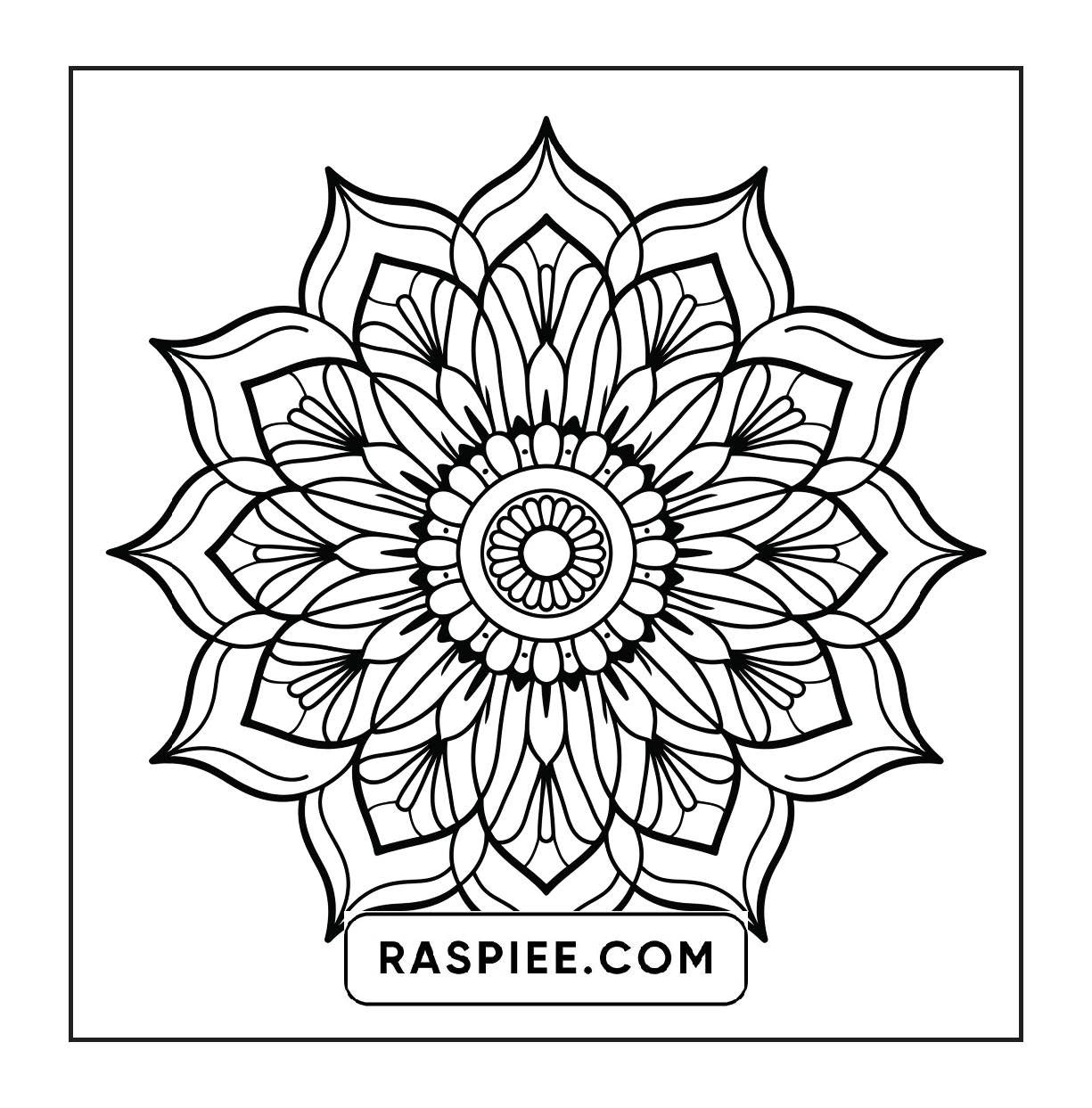 250 Mandala Adult Coloring Pages Vol.1