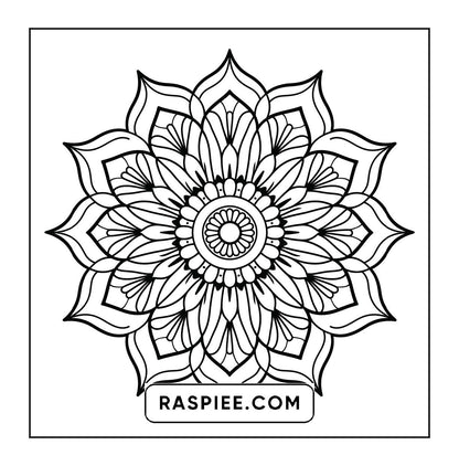 250 Mandala Adult Coloring Pages Vol.1