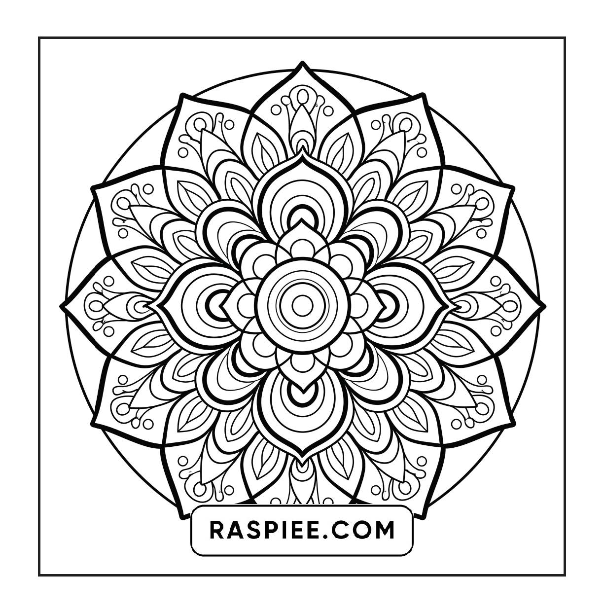 250 Mandala Adult Coloring Pages Vol.1