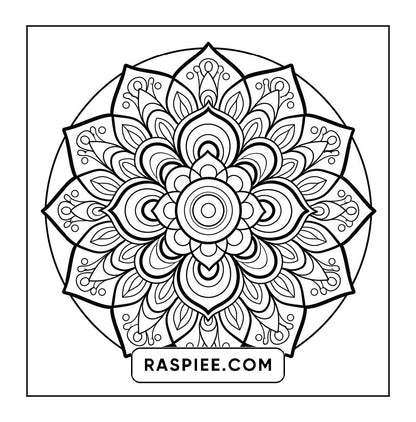 250 Mandala Adult Coloring Pages Vol.1