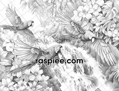 65 Rainforest Waterfall Grayscale Adult Coloring Pages, Printable PDF Instant Download