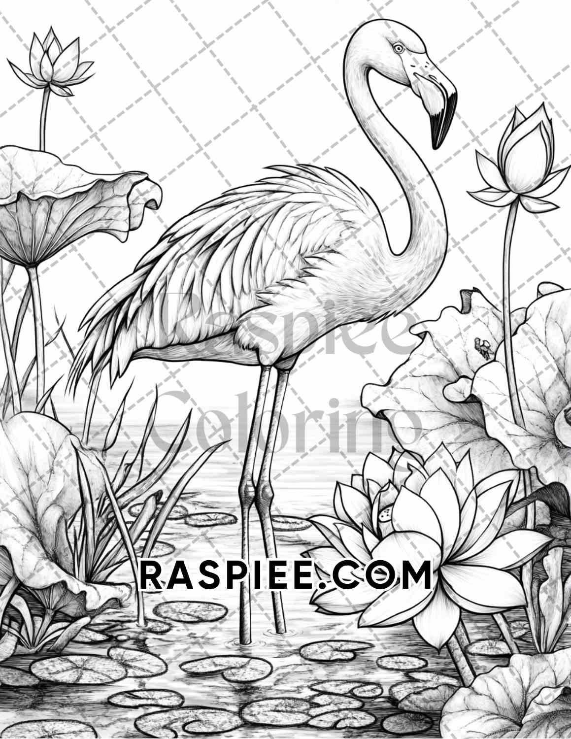 Flowers and Birds Adult Coloring Pages Printable PDF Instant Download