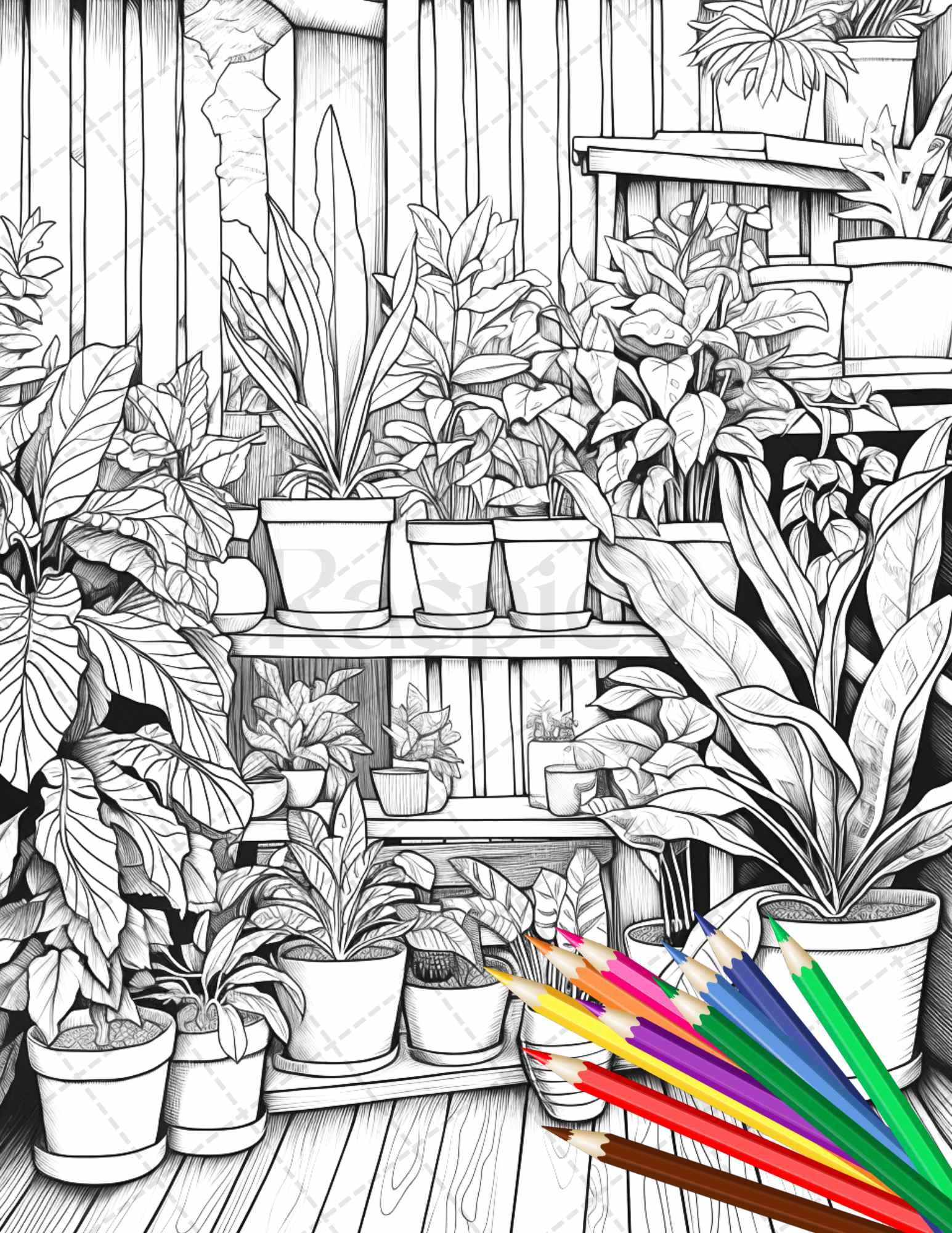 38 Indoor Houseplants Coloring Pages Printable for Adults, Grayscale Coloring Page, PDF File Instant Download
