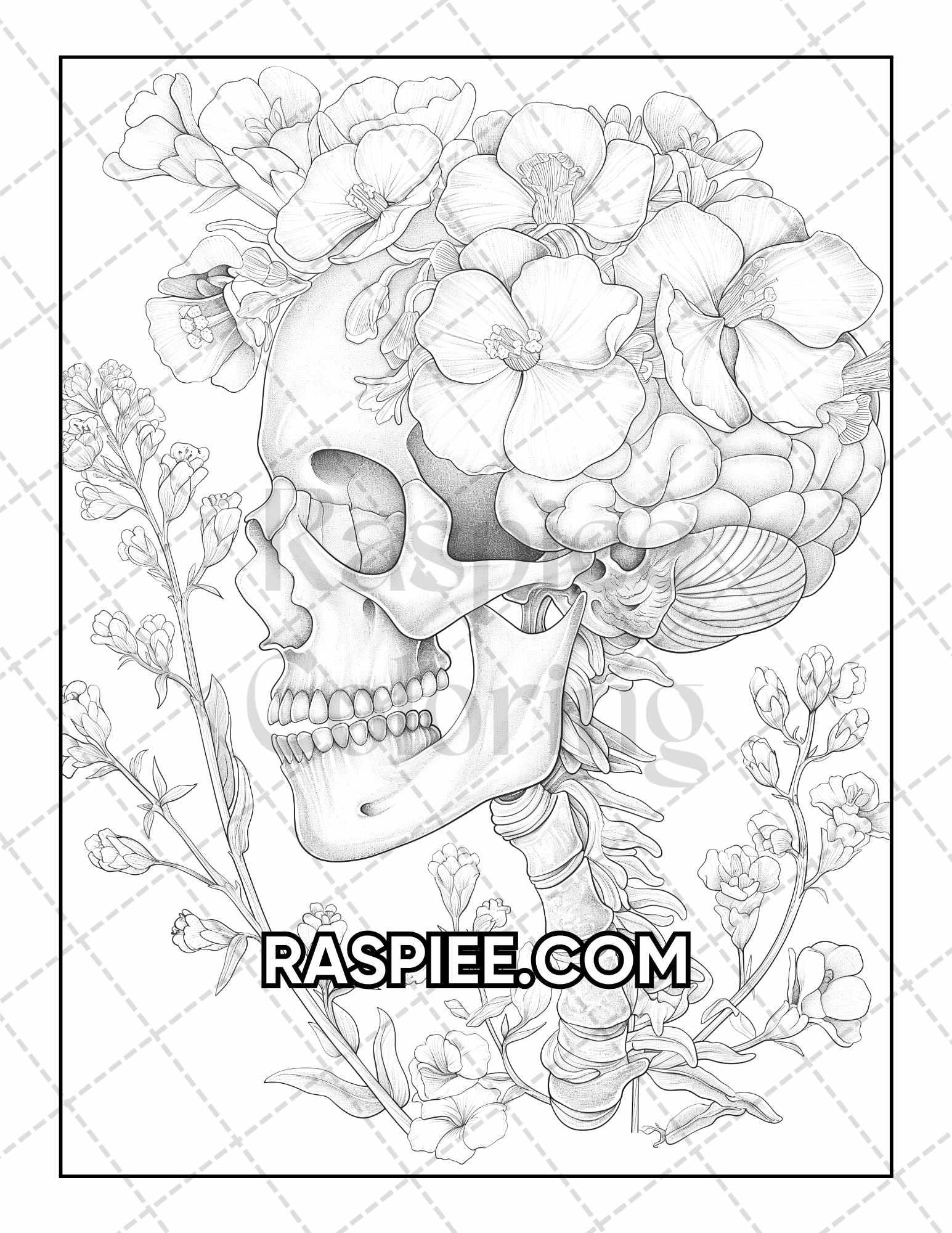 50 Botanical Anatomy Adult Coloring Pages Printable PDF Instant Download