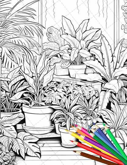 38 Indoor Houseplants Coloring Pages Printable for Adults, Grayscale Coloring Page, PDF File Instant Download