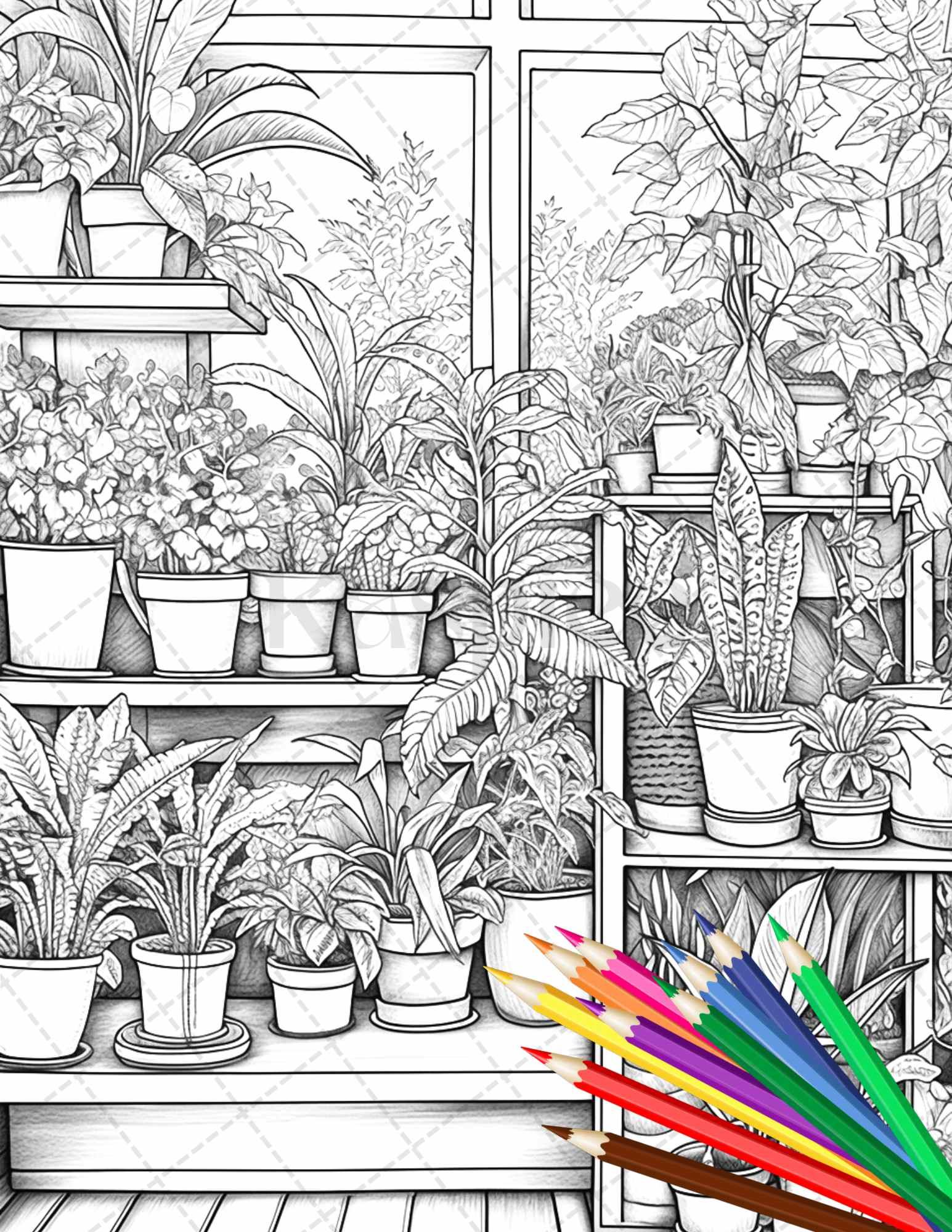 38 Indoor Houseplants Coloring Pages Printable for Adults, Grayscale Coloring Page, PDF File Instant Download