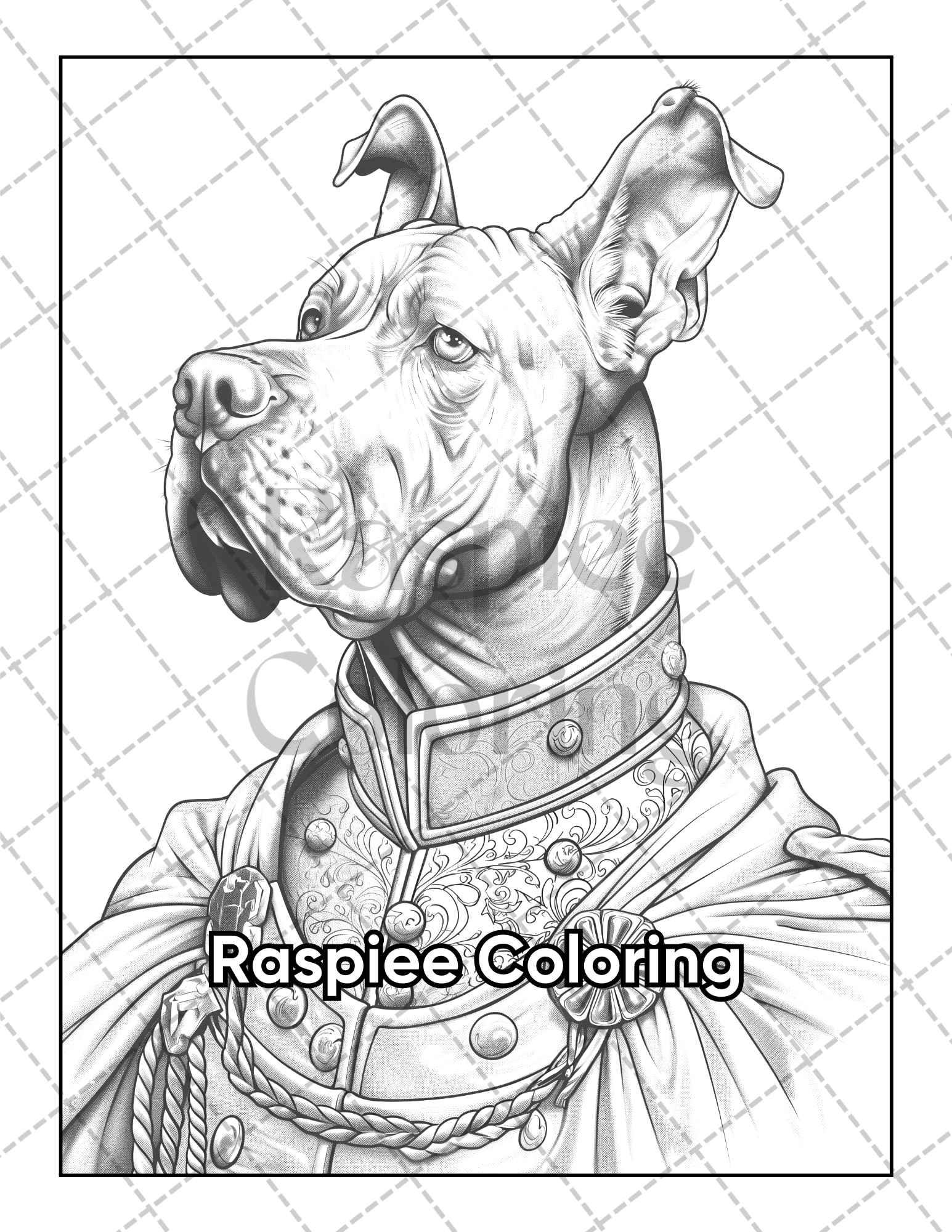 50 Dogs Dressed Up Adult Coloring Pages Printable PDF Instant Download