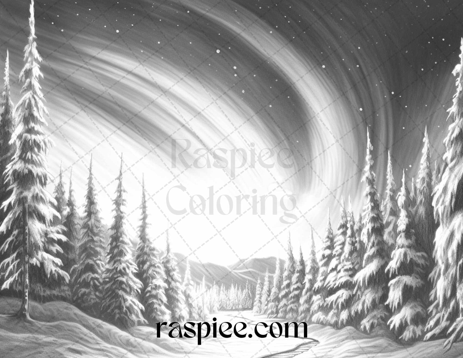 Aurora Borealis Landscape Grayscale Coloring Pages for Adults, Printable PDF File Instant Download