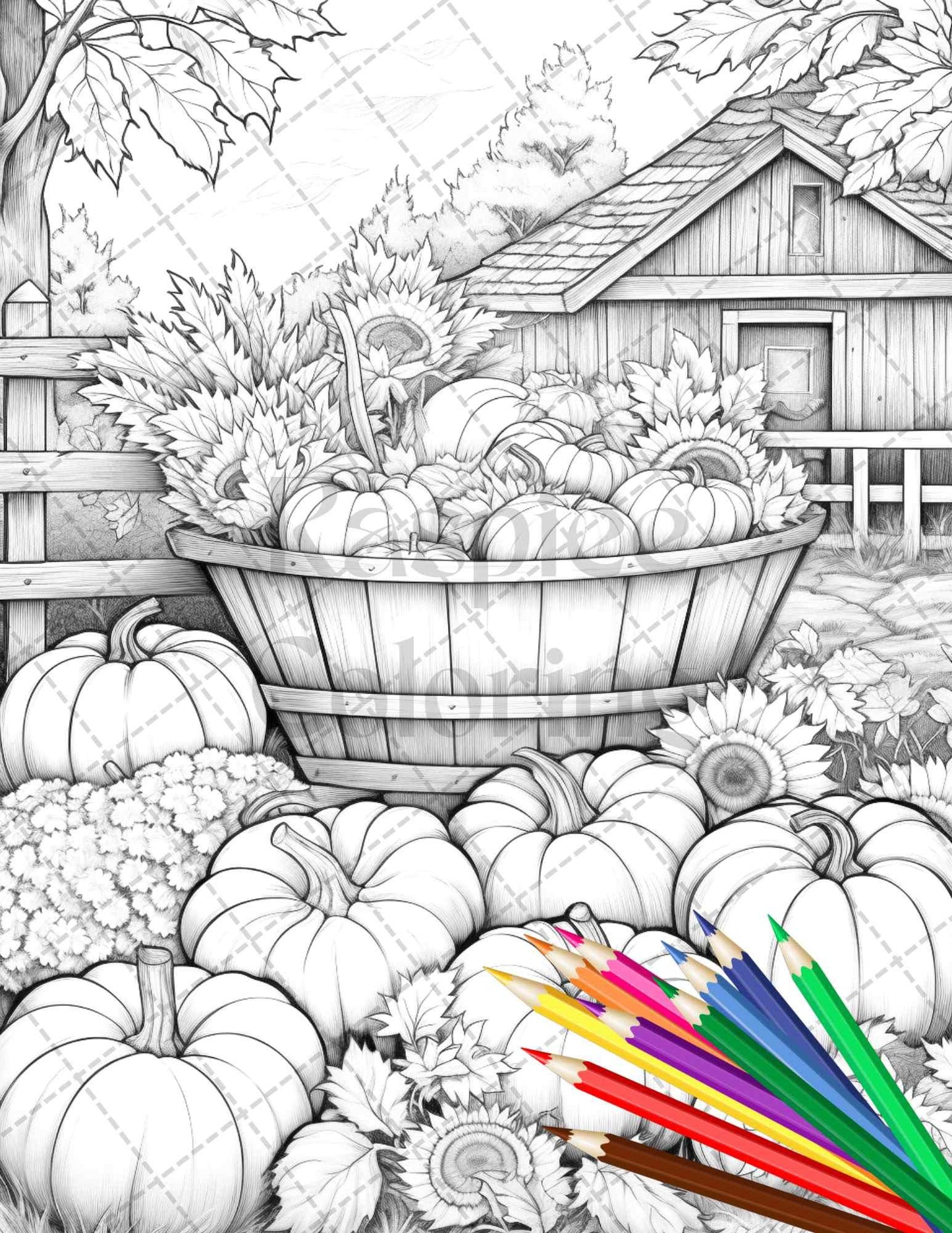 Pumpkin Garden Scenery Grayscale Coloring Pages Printable for Adults, PDF File Instant Download