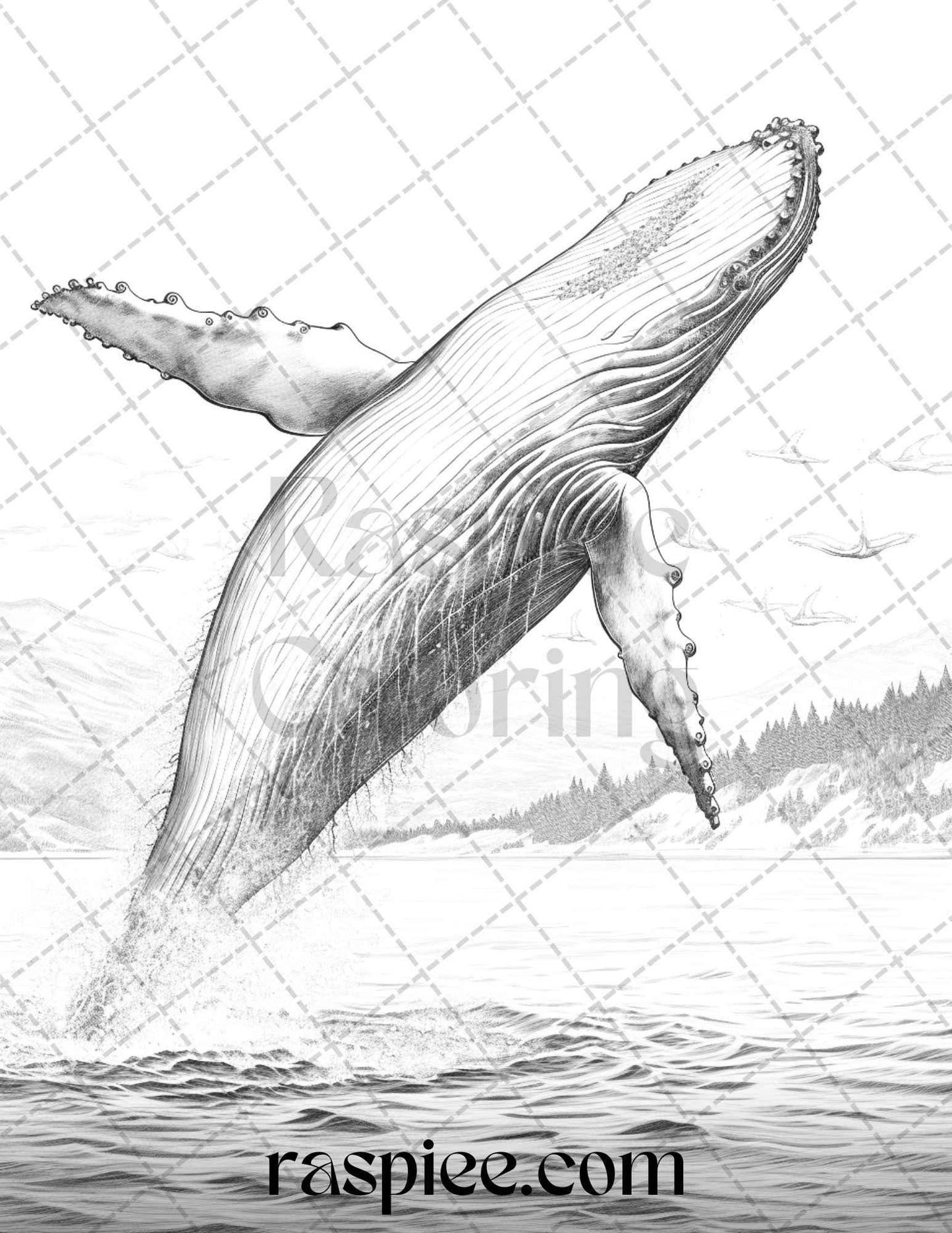 Ocean Life Grayscale Coloring Pages Printable for Adults Relaxation and Creativity, PDF File Instant Download