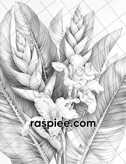 65 Tropical Flowers Grayscale Adult Coloring Pages Printable PDF Instant Download