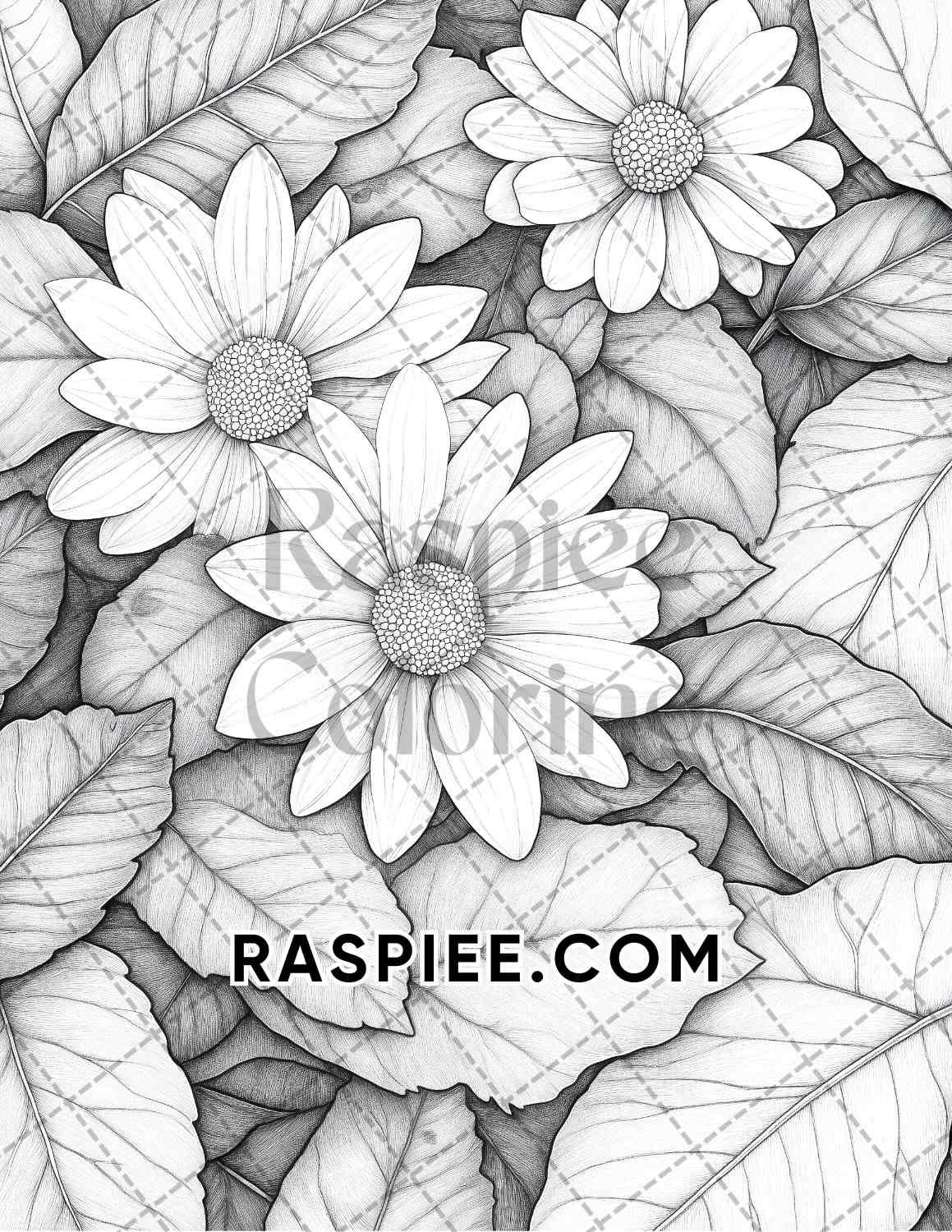 Fall Flowers Adult Coloring Pages Printable PDF Instant Download