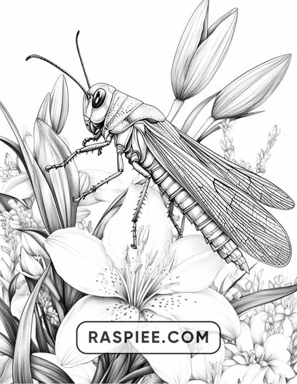 Insects and Flowers Adult Coloring Pages
