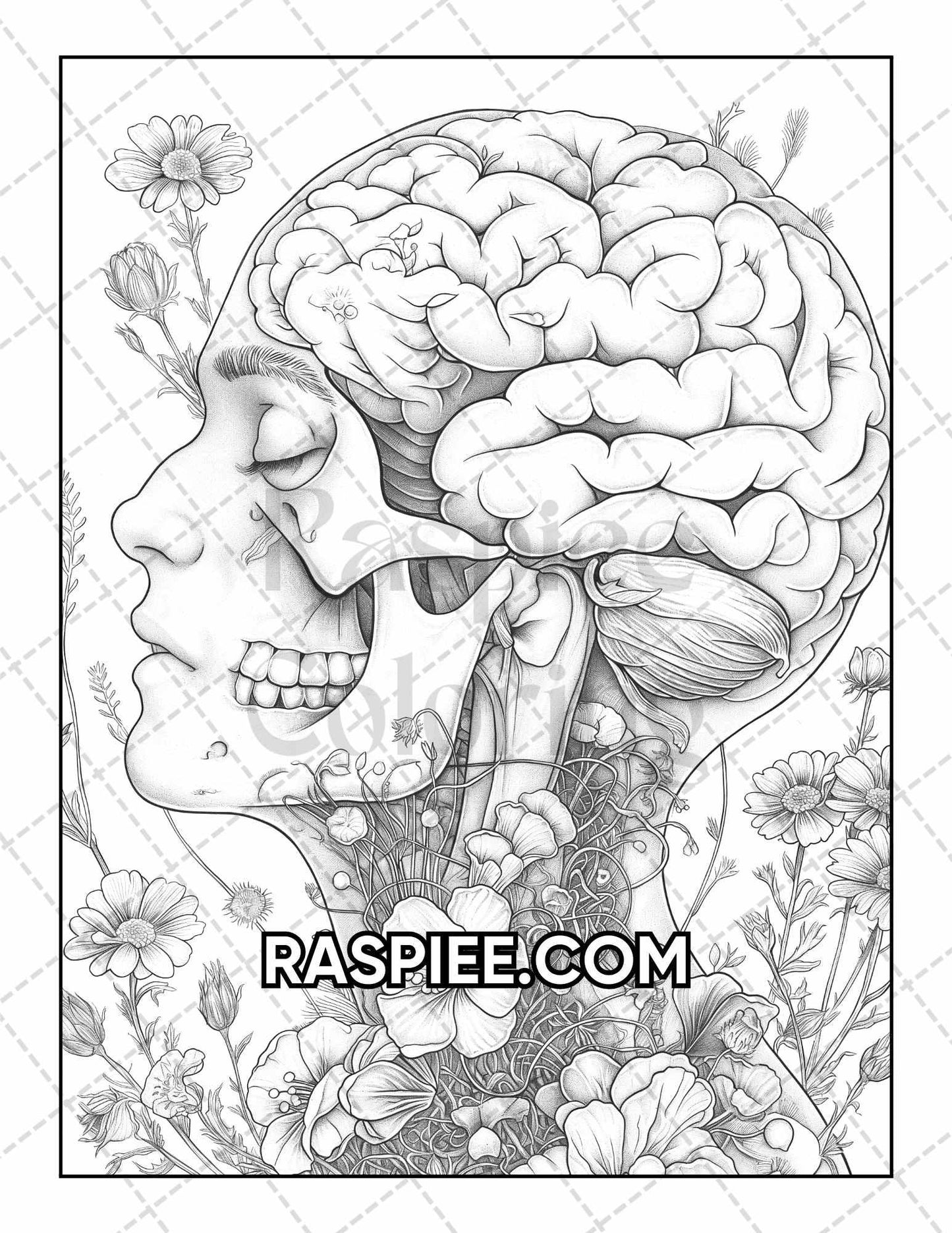 50 Botanical Anatomy Adult Coloring Pages Printable PDF Instant Download