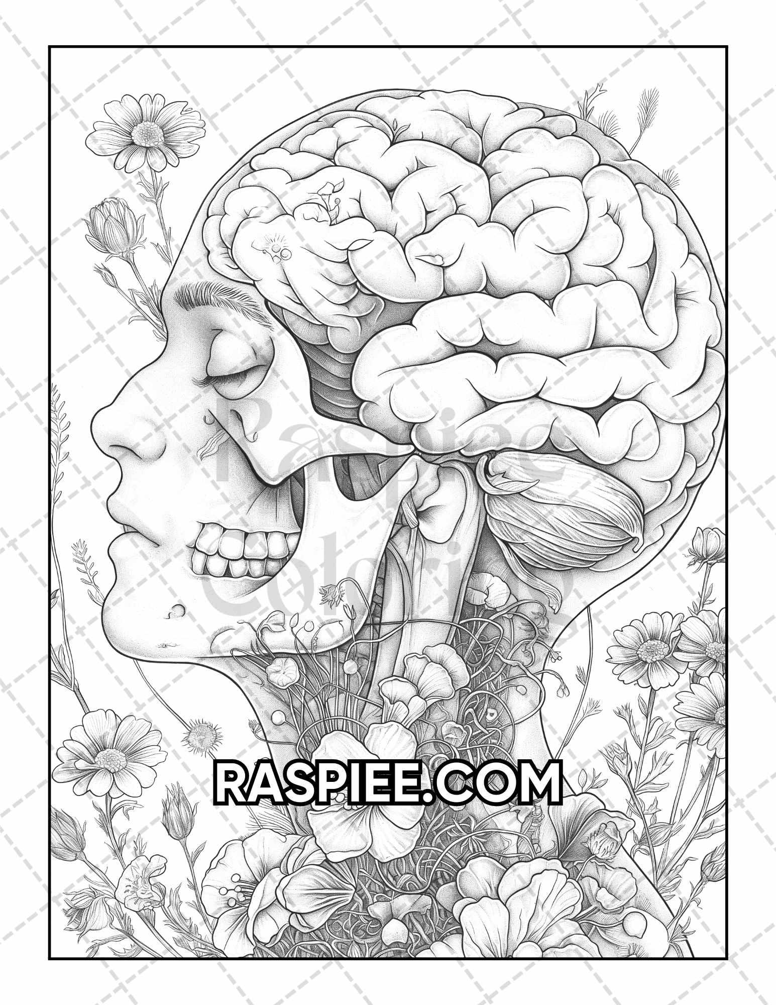 50 Botanical Anatomy Adult Coloring Pages Printable PDF Instant Download