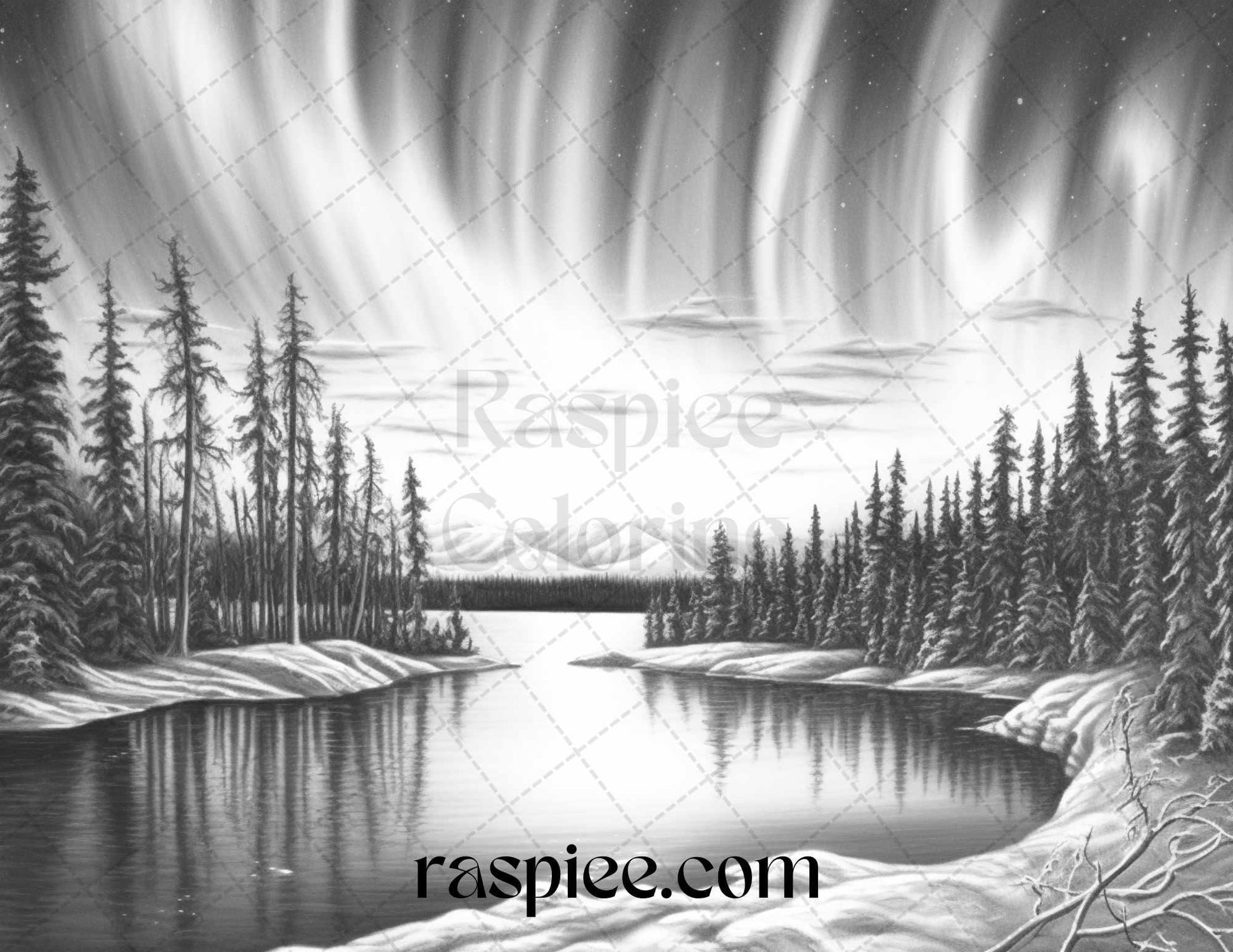 Aurora Borealis Landscape Grayscale Coloring Pages for Adults, Printable PDF File Instant Download
