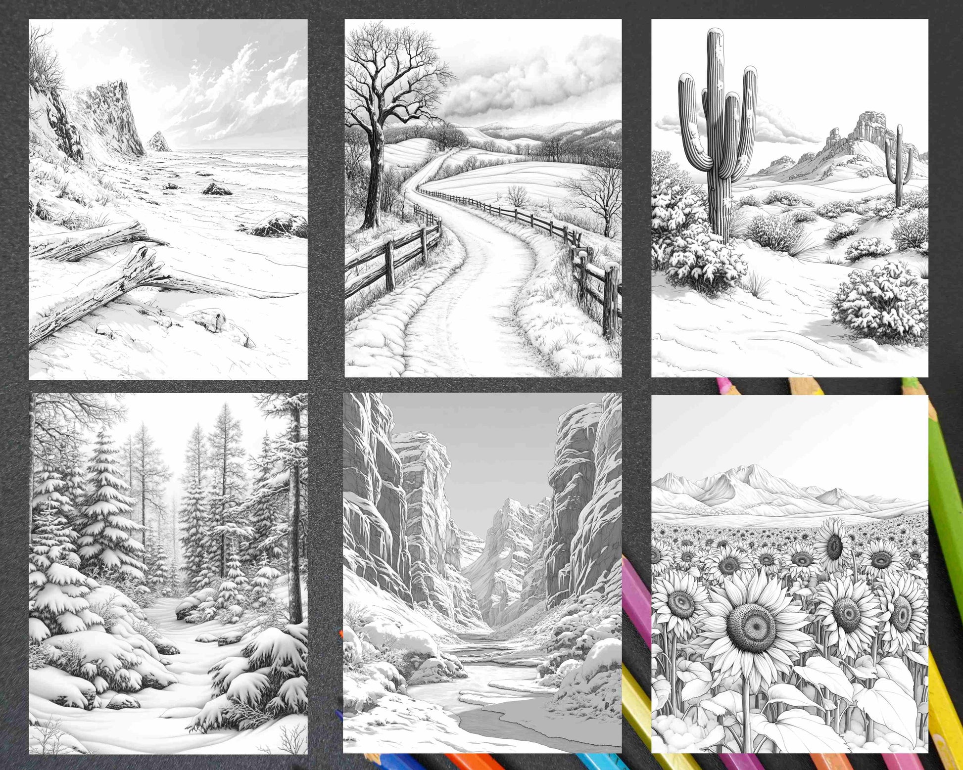82 Winter Landscapes Adult Coloring Pages