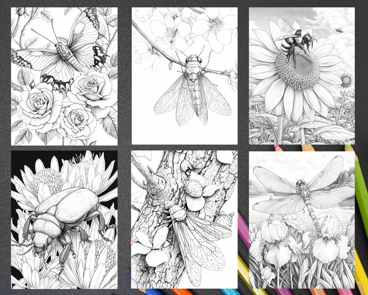 Insects and Flowers Adult Coloring Pages