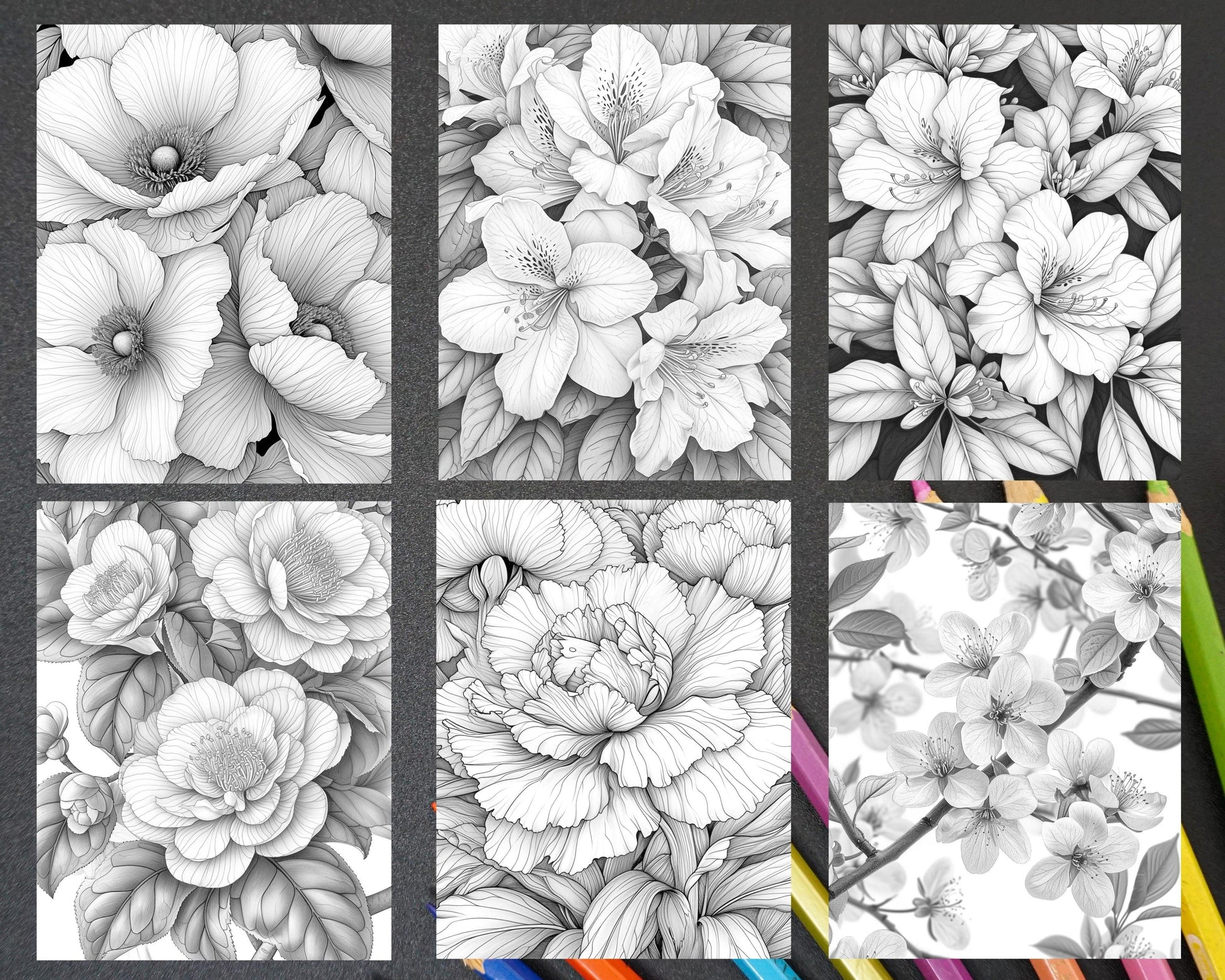 60 Spring Blossoms Grayscale Adult Coloring Pages, Printable PDF Instant Download