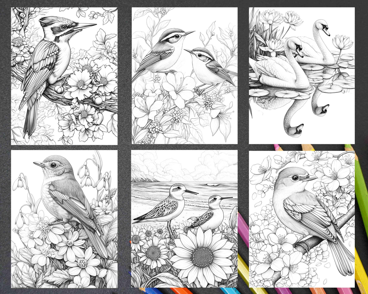 Flowers and Birds Adult Coloring Pages Printable PDF Instant Download