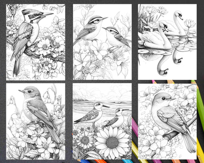 Flowers and Birds Adult Coloring Pages Printable PDF Instant Download