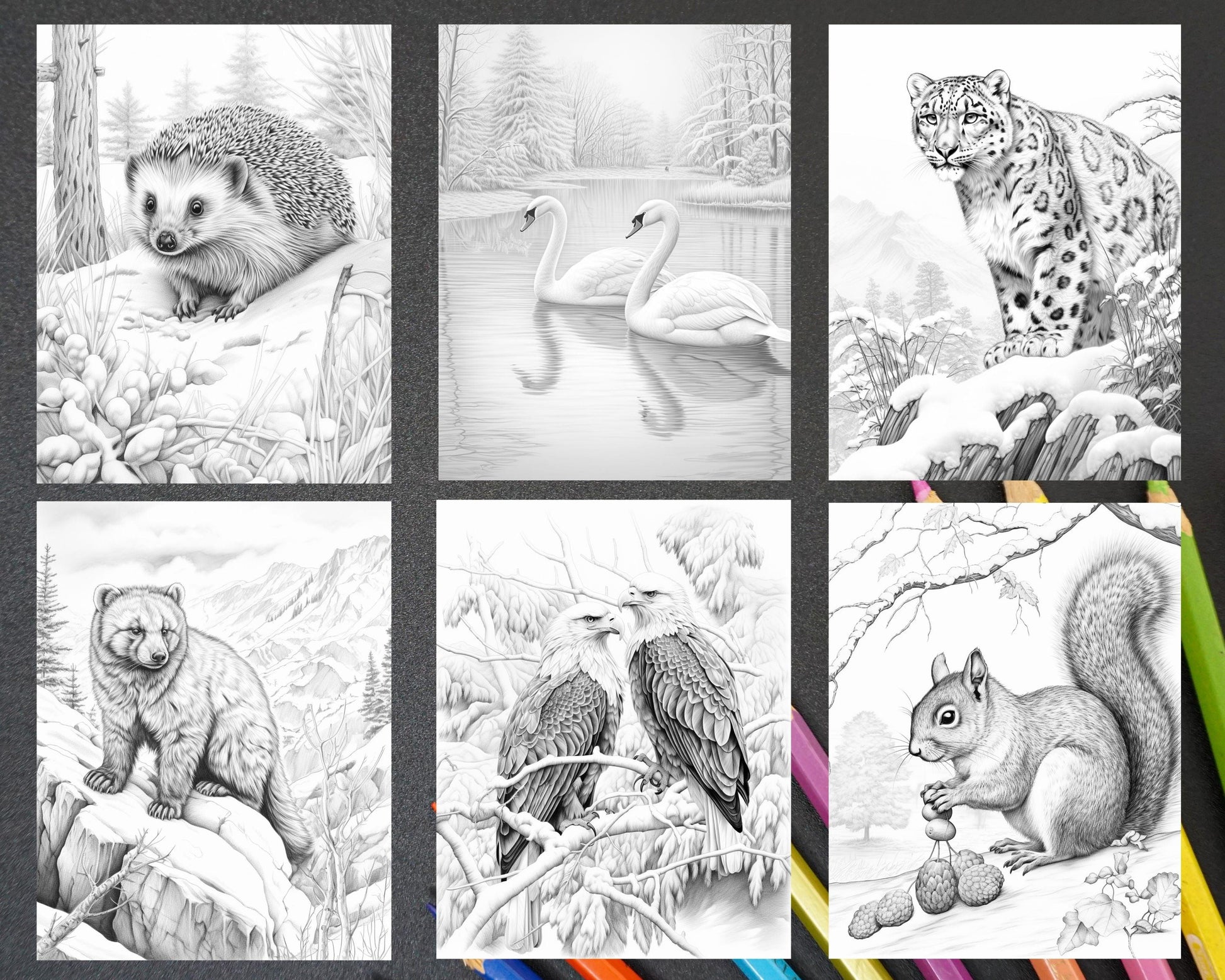 55 Winter Wildlife Grayscale Coloring Pages for Adults, Printable PDF Instant Download