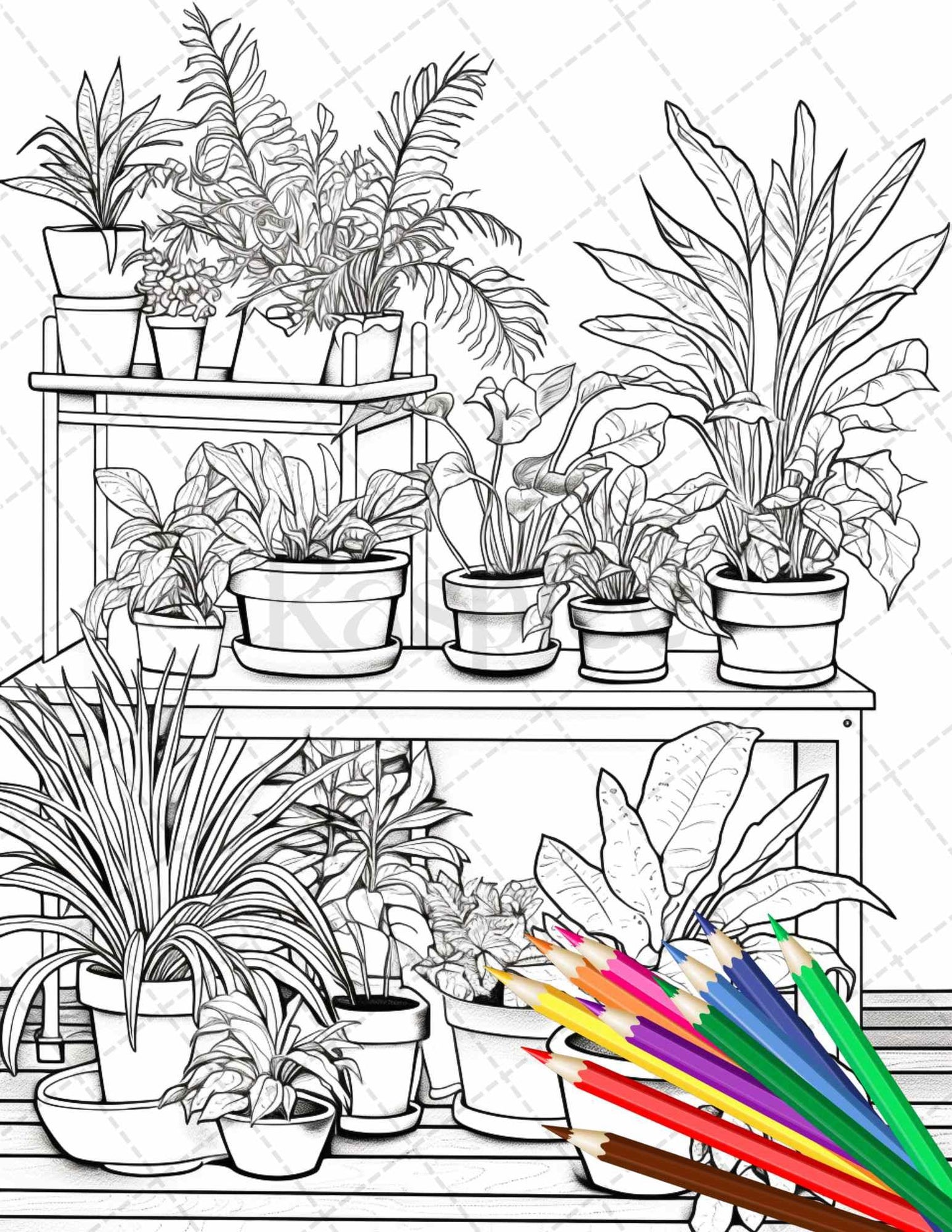 38 Indoor Houseplants Coloring Pages Printable for Adults, Grayscale Coloring Page, PDF File Instant Download