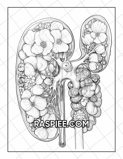 50 Botanical Anatomy Adult Coloring Pages Printable PDF Instant Download
