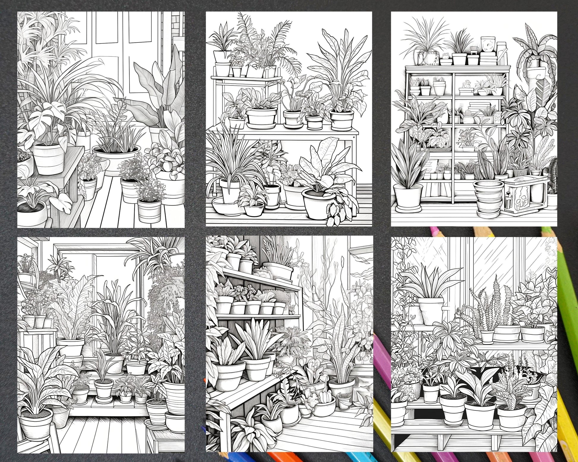 38 Indoor Houseplants Coloring Pages Printable for Adults, Grayscale Coloring Page, PDF File Instant Download