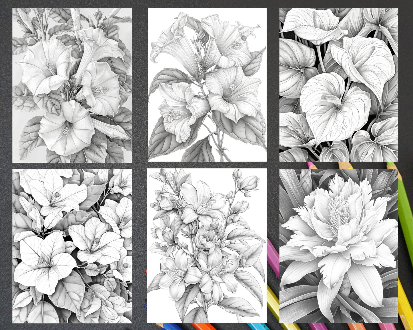 65 Tropical Flowers Grayscale Adult Coloring Pages Printable PDF Instant Download