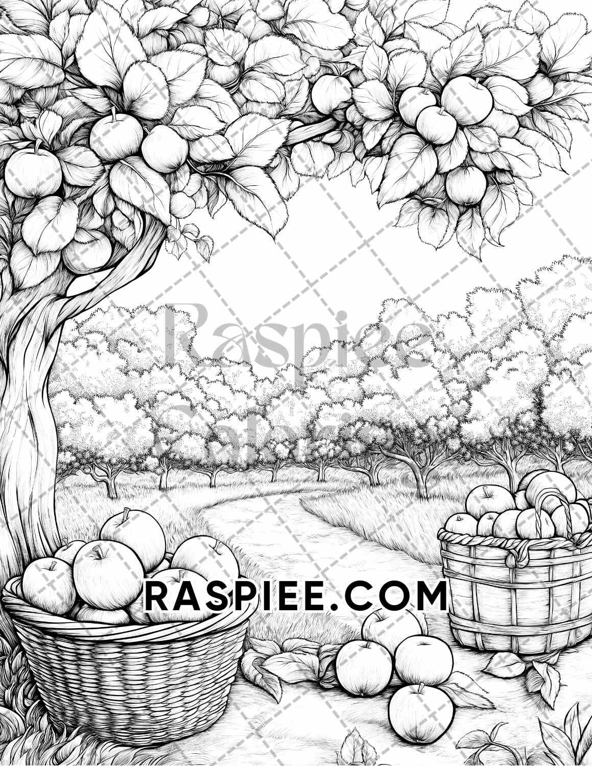 Autumn Charm Adult Coloring Pages Printable PDF Instant Download