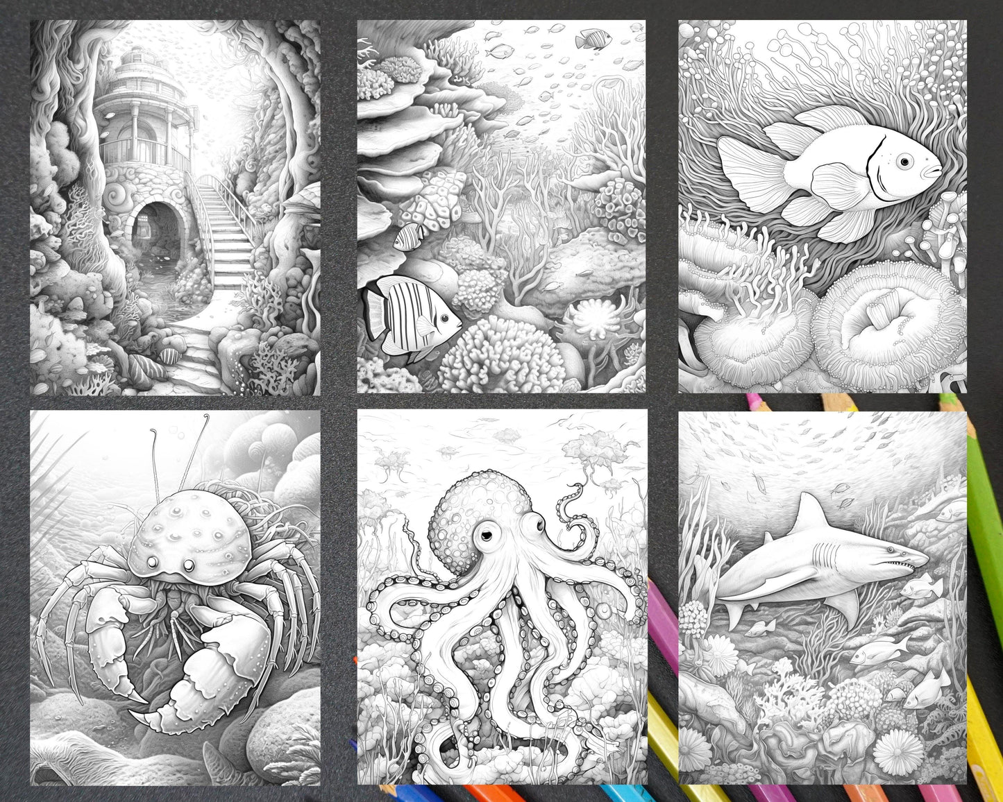 Ocean Life Grayscale Coloring Pages Printable for Adults Relaxation and Creativity, PDF File Instant Download