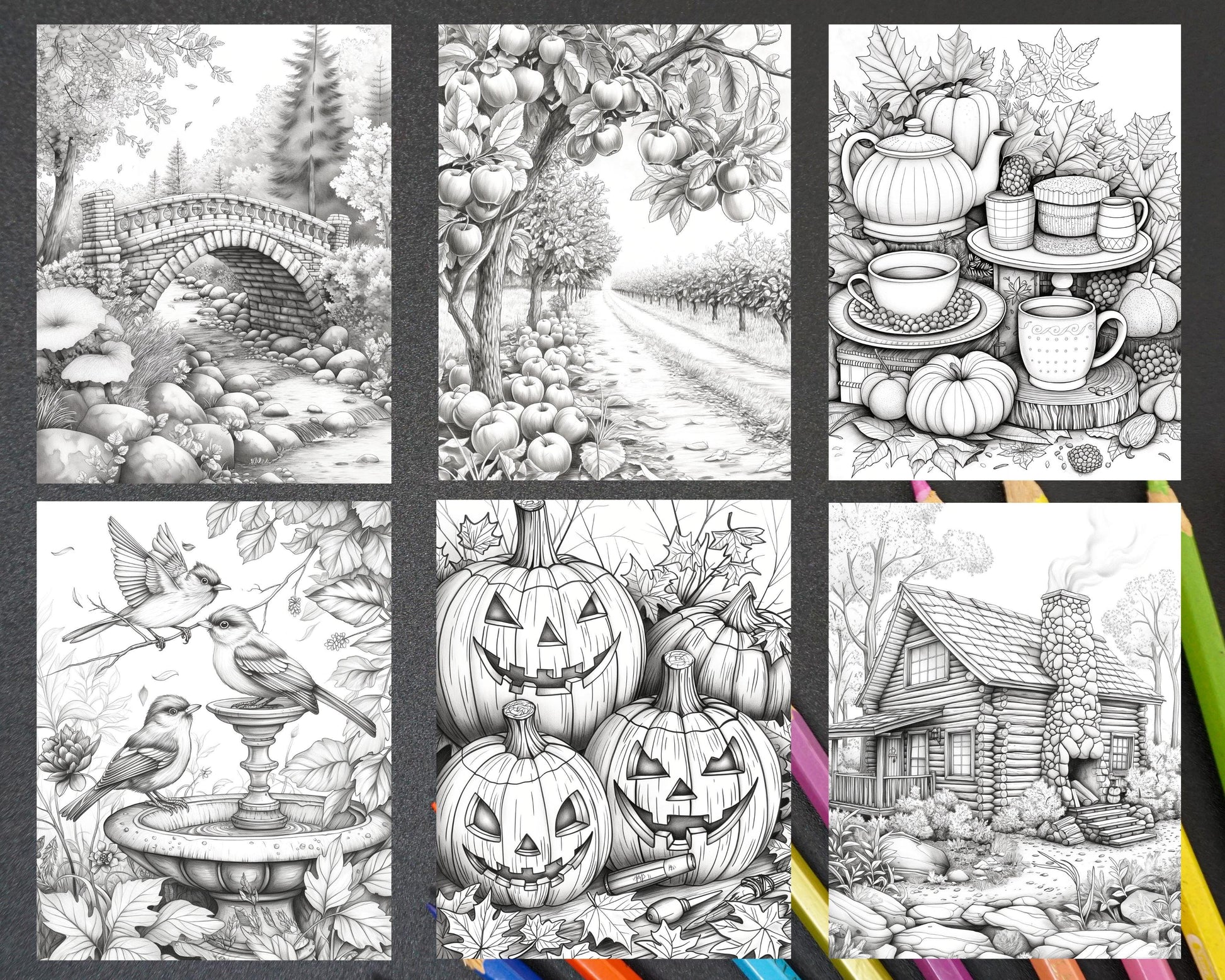 60 Relaxing Autumn Grayscale Adult Coloring Pages Printable PDF Instant Download