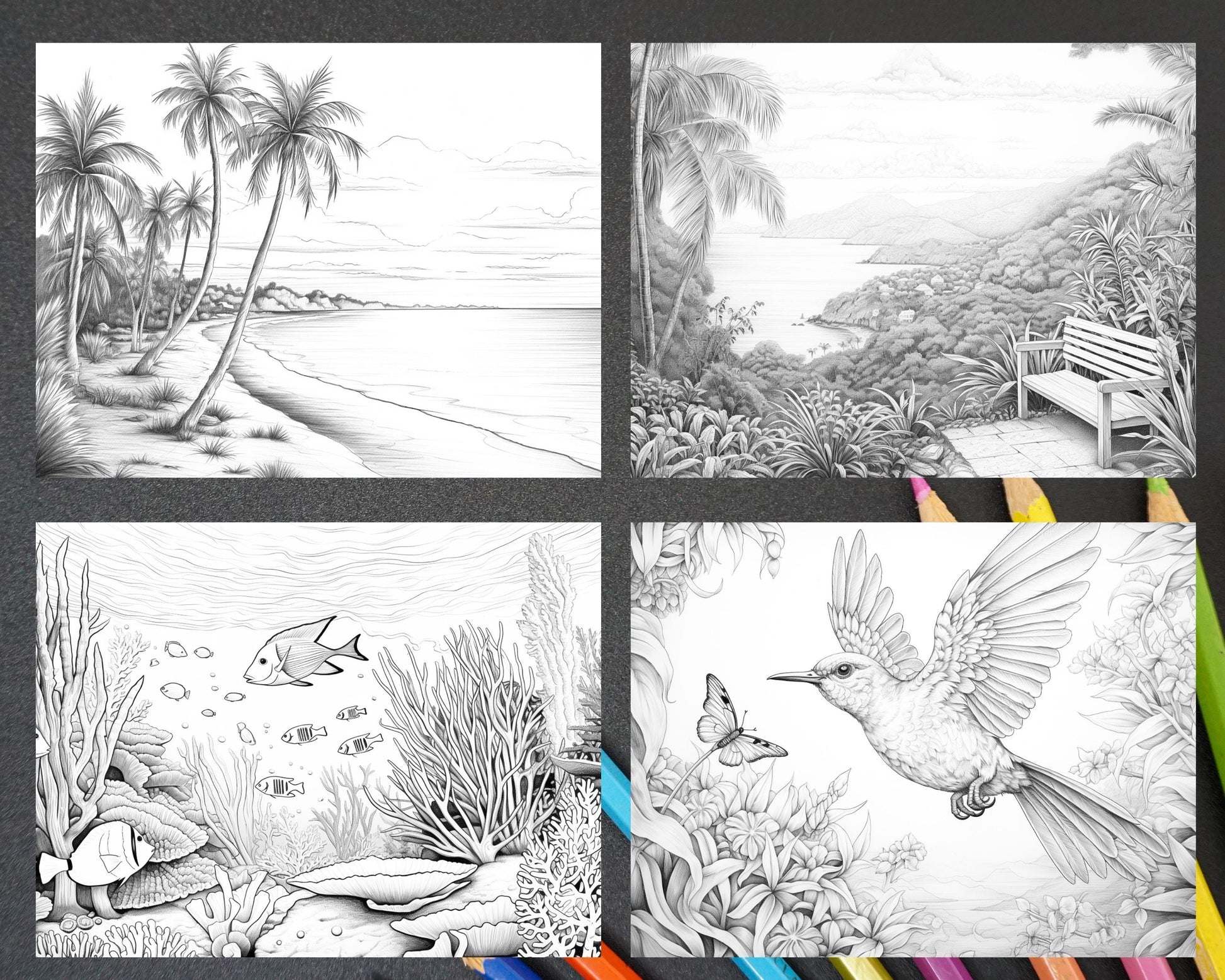 50 Tropical Paradise Grayscale Adult Coloring Pages, Printable PDF Instant Download
