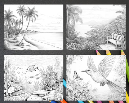 50 Tropical Paradise Grayscale Adult Coloring Pages, Printable PDF Instant Download