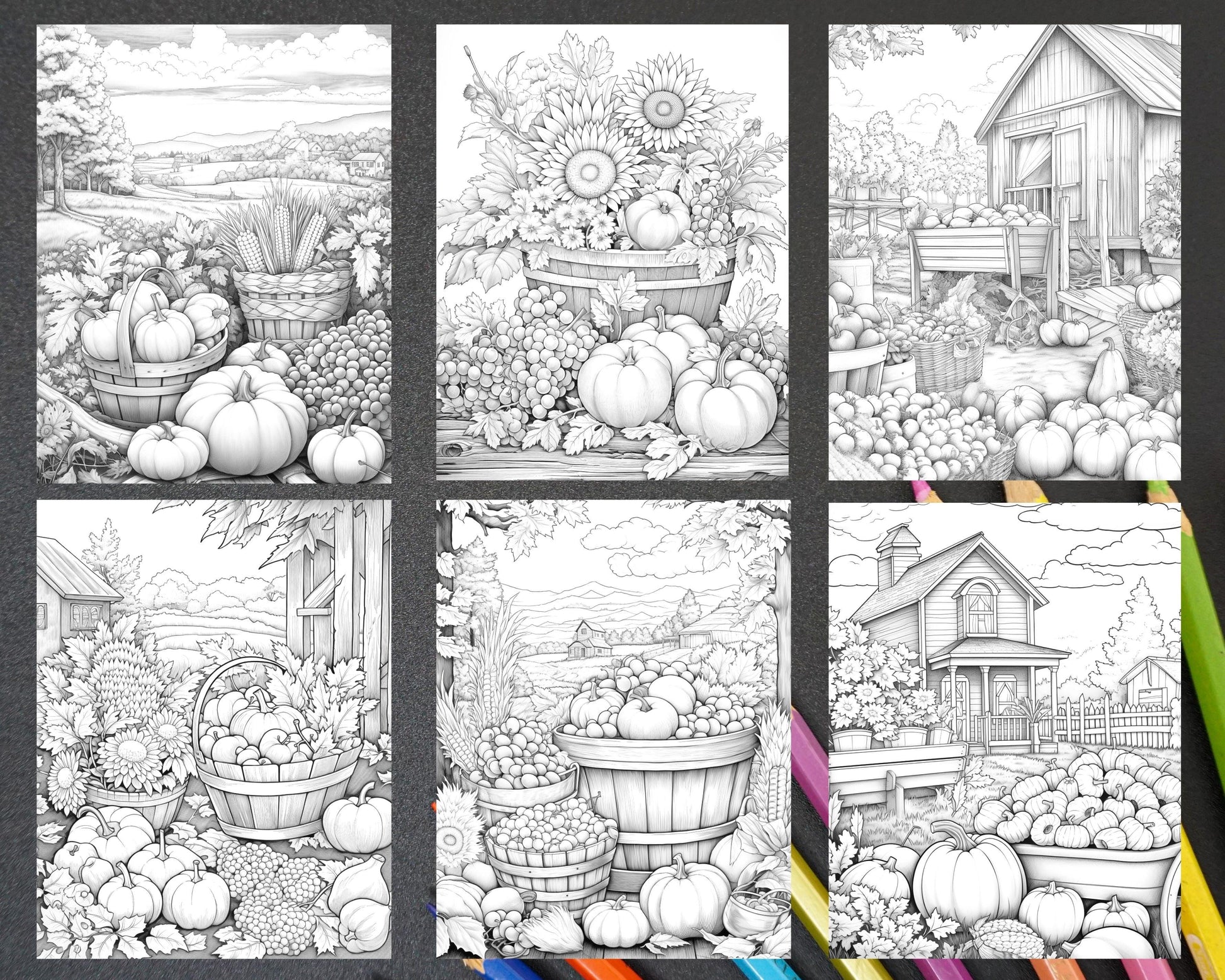 Autumn Harvest Grayscale Coloring Pages Printable for Adults, Relaxing Fall Themed Art, PDF File Instant Download