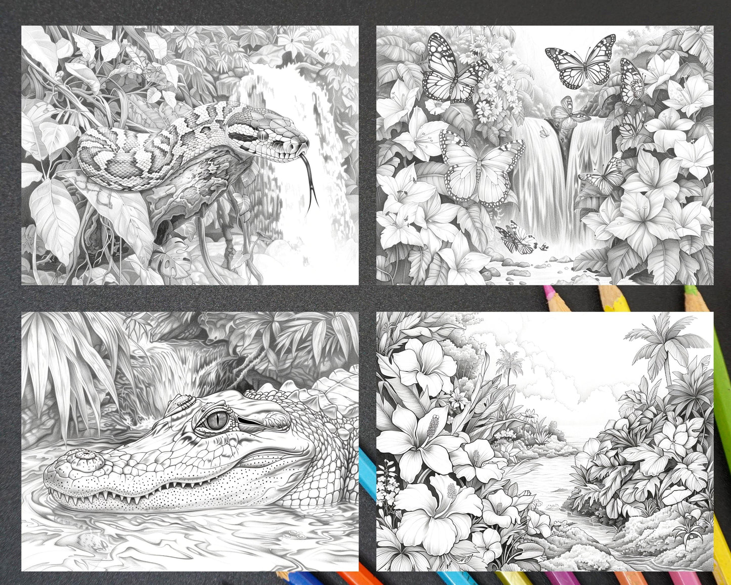 65 Rainforest Waterfall Grayscale Adult Coloring Pages, Printable PDF Instant Download