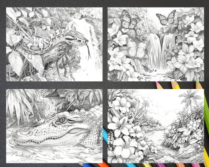 65 Rainforest Waterfall Grayscale Adult Coloring Pages, Printable PDF Instant Download