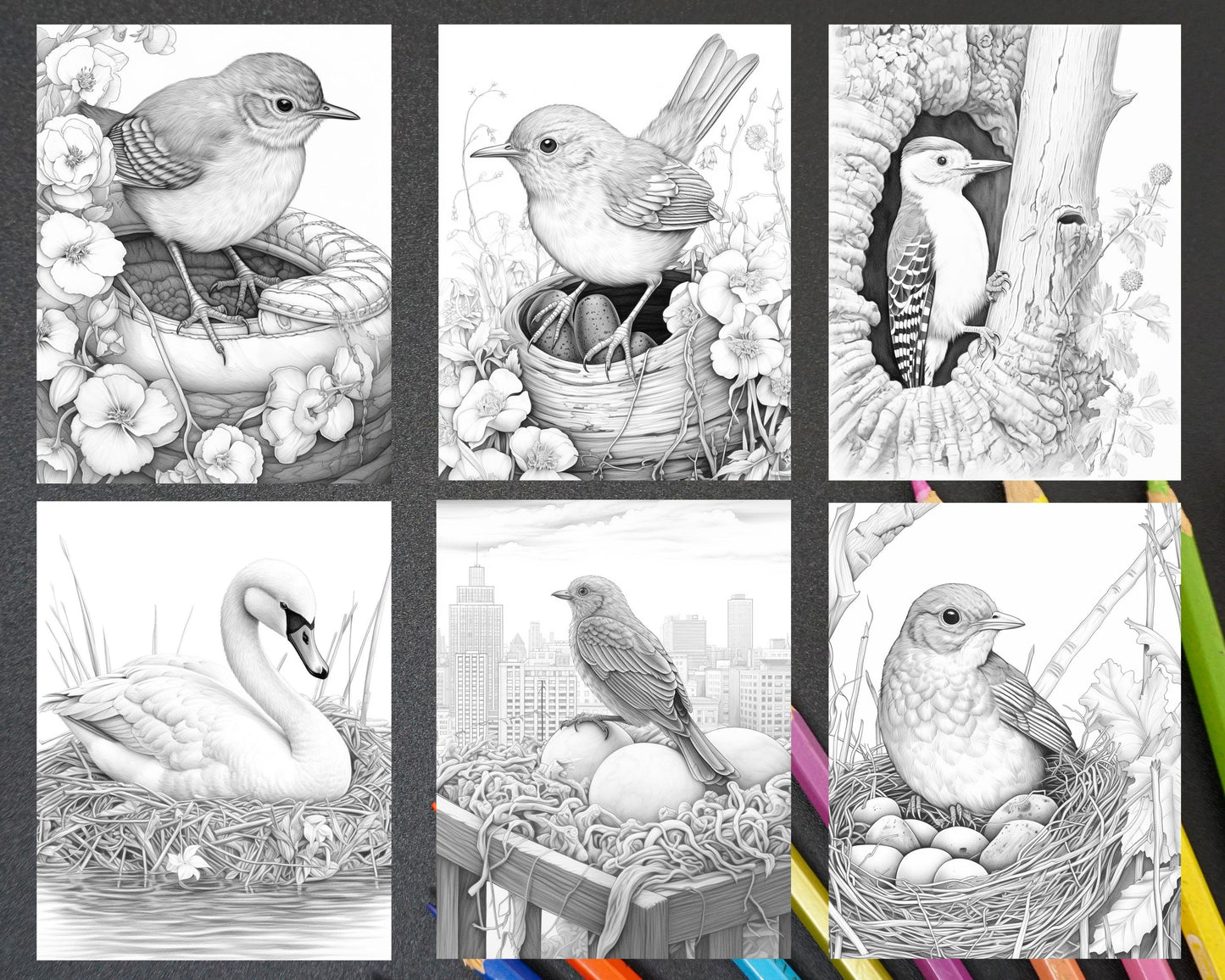 60 Spring Birds Grayscale Adult Coloring Pages, Printable PDF Instant Download