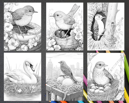 60 Spring Birds Grayscale Adult Coloring Pages, Printable PDF Instant Download