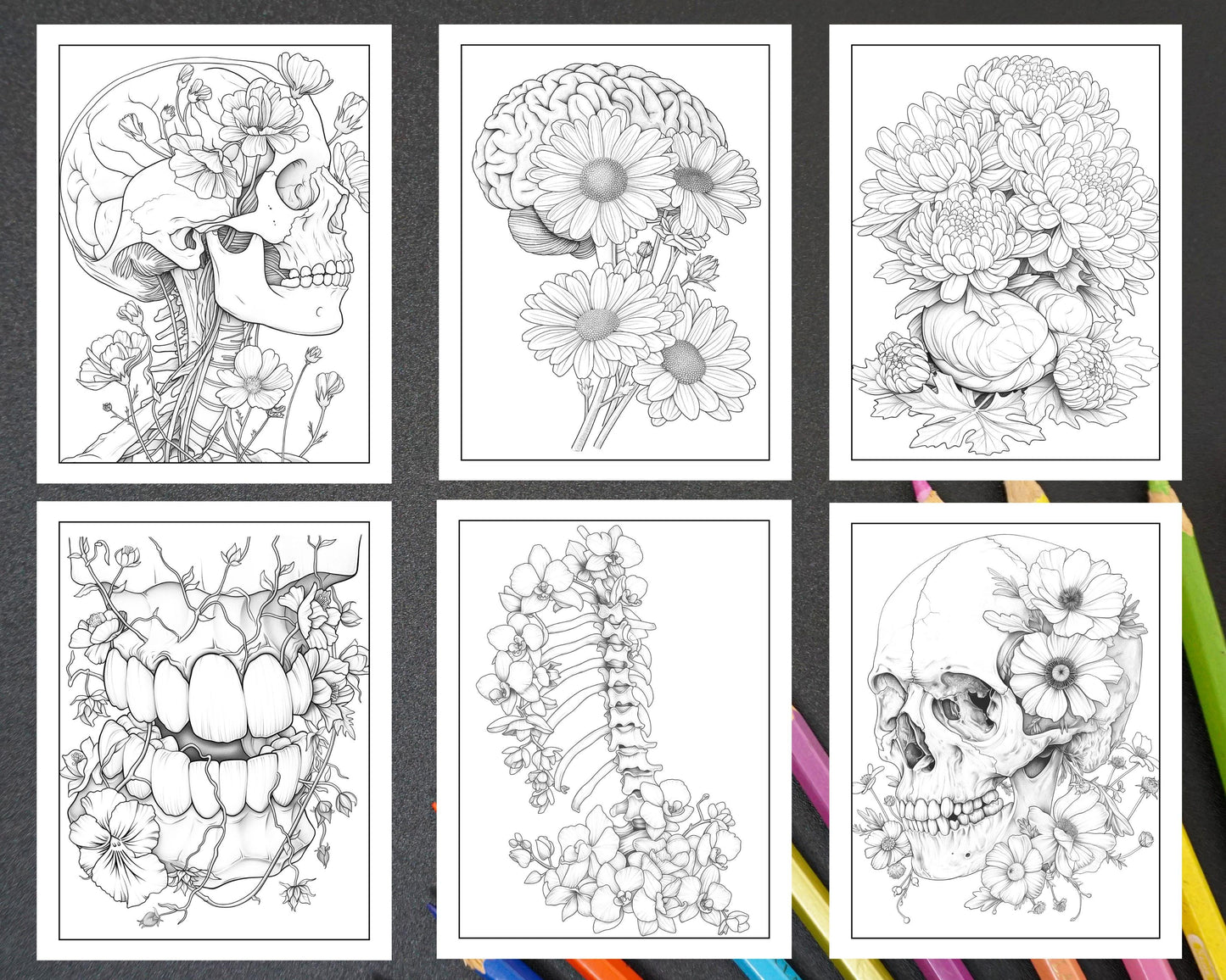 50 Botanical Anatomy Adult Coloring Pages Printable PDF Instant Download