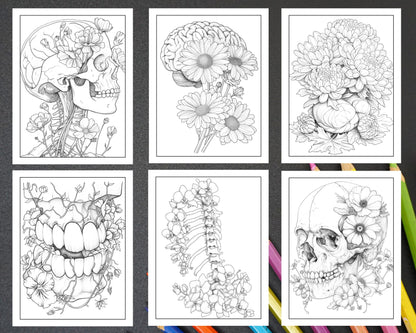 50 Botanical Anatomy Adult Coloring Pages Printable PDF Instant Download
