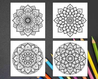 250 Mandala Adult Coloring Pages Vol.2