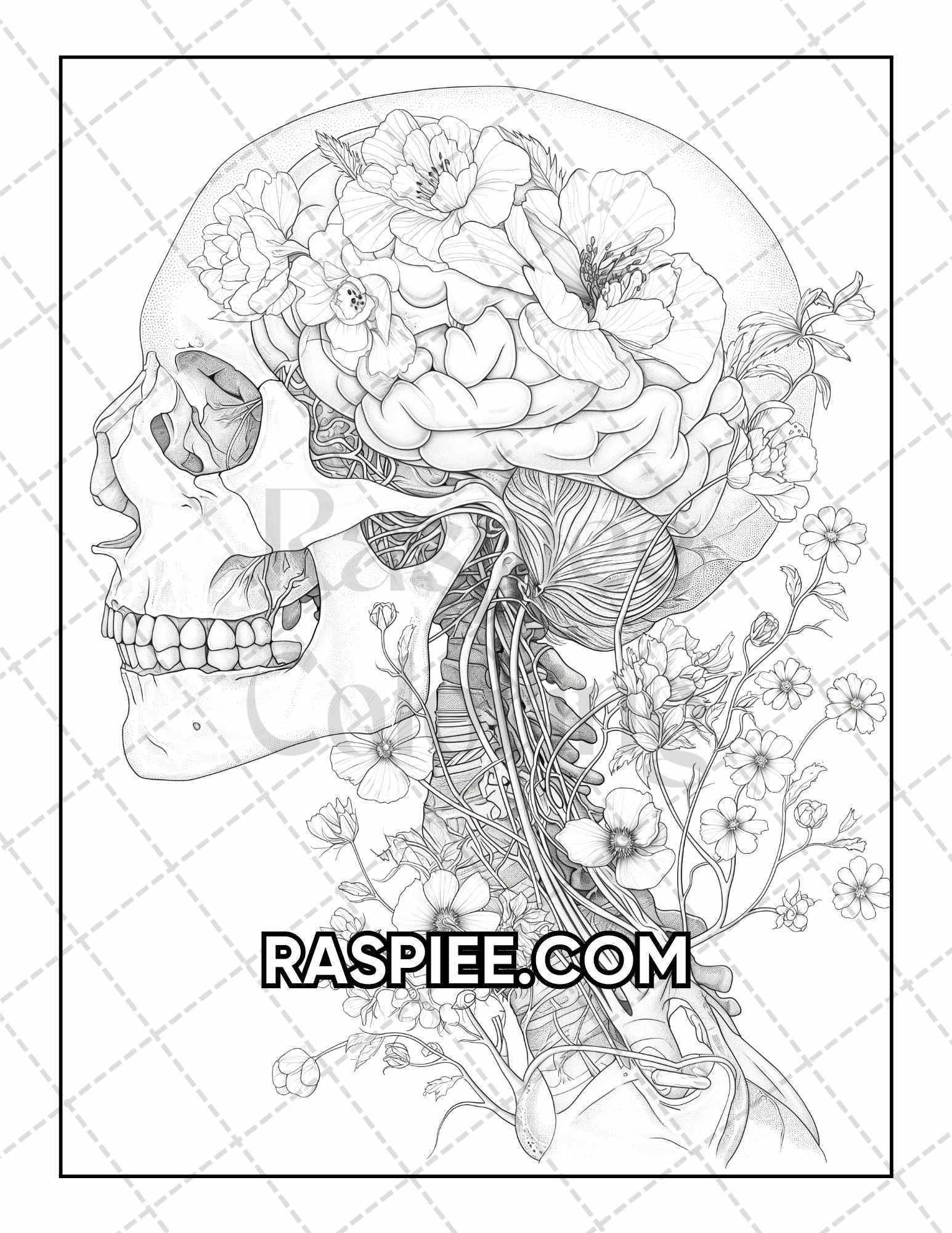 50 Botanical Anatomy Adult Coloring Pages Printable PDF Instant Download