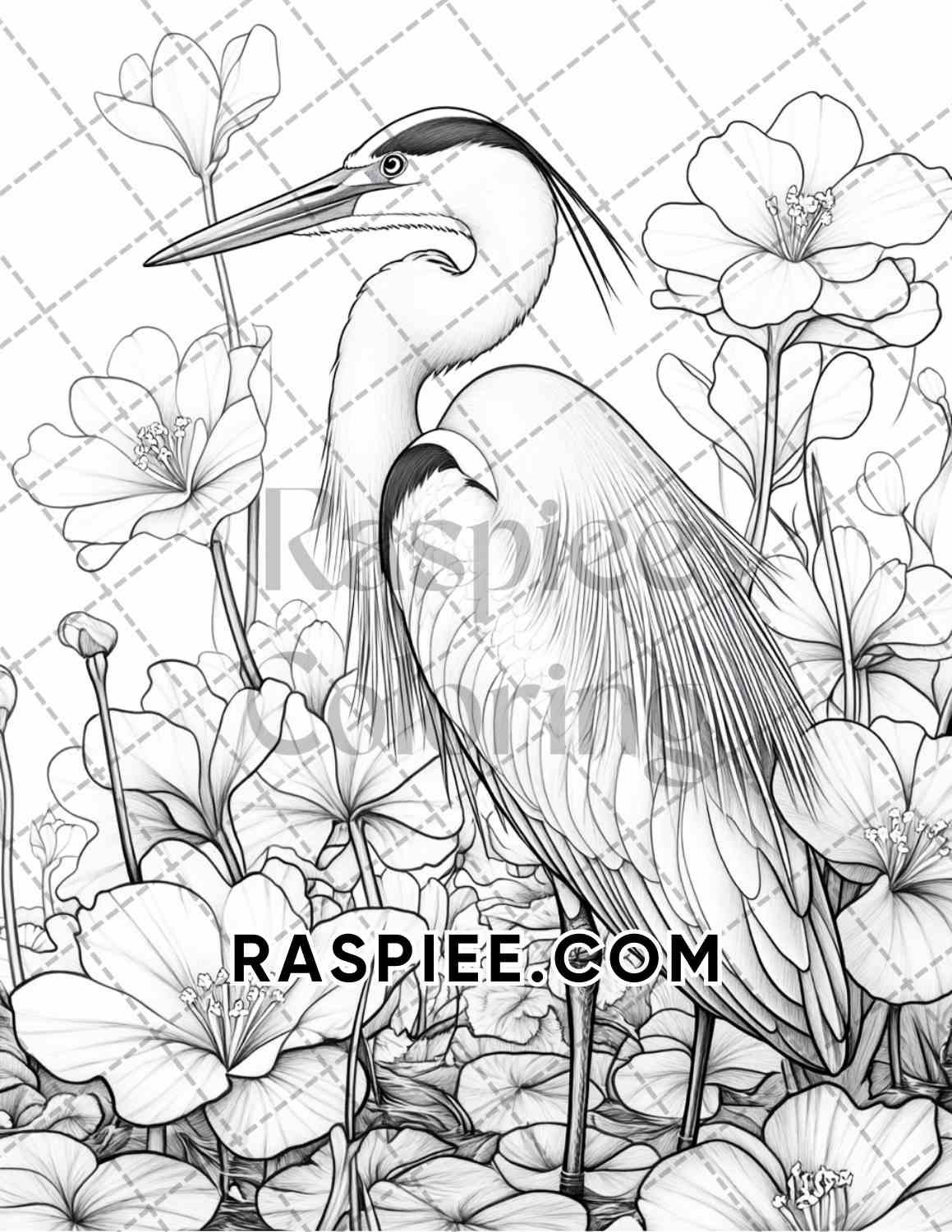 Flowers and Birds Adult Coloring Pages Printable PDF Instant Download