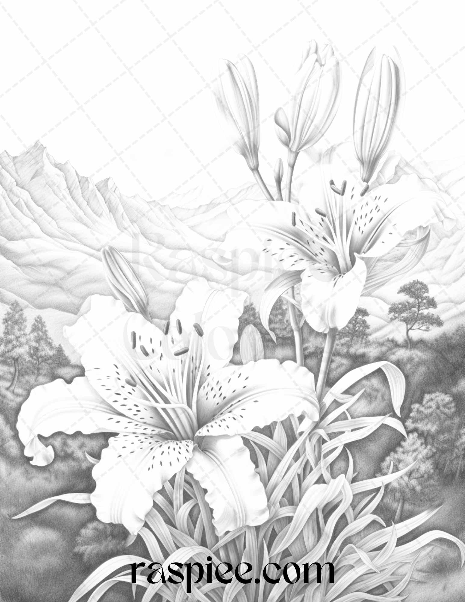 60 Mountain Flower Landscapes Grayscale Coloring Pages Printable for Adults, PDF File Instant Download