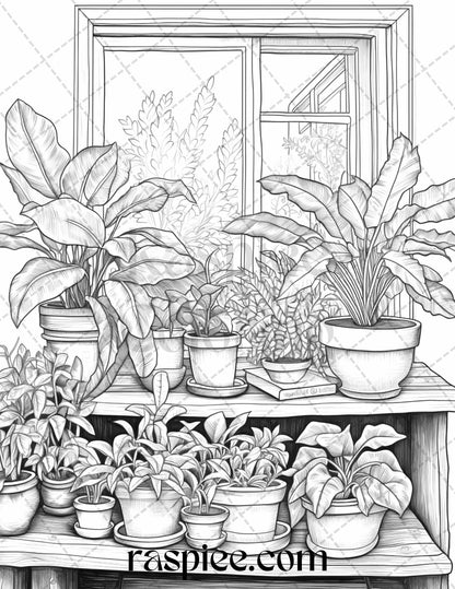 40 Window Plants Grayscale Coloring Pages Printable for Adults, PDF File Instant Download