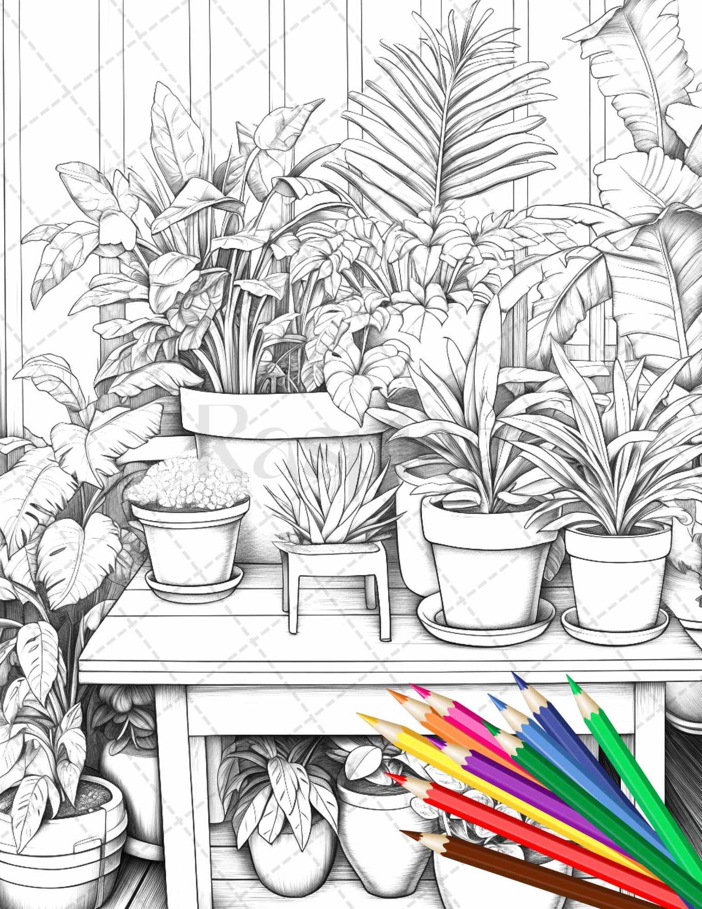 38 Indoor Houseplants Coloring Pages Printable for Adults, Grayscale Coloring Page, PDF File Instant Download